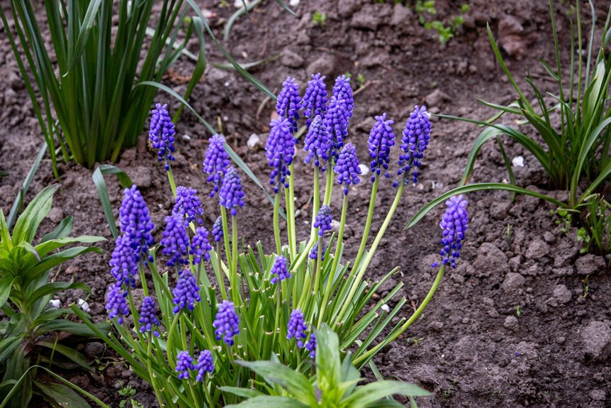 spring planting list ten options