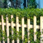 typical privacy fence height guidelines